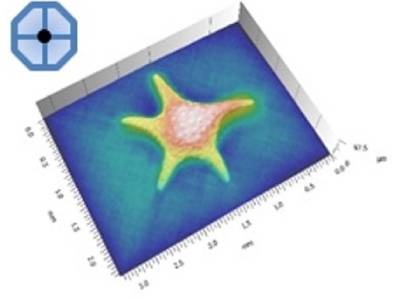 sem 3d surface morphology